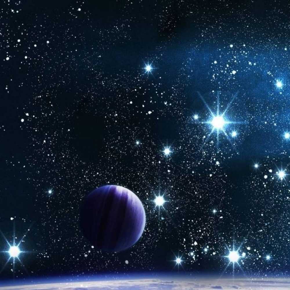 Meet your Posher, Xavier